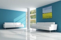 Residential Painters